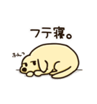 愛犬きんたくんスタンプ（個別スタンプ：4）