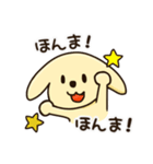 愛犬きんたくんスタンプ（個別スタンプ：8）