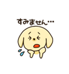 愛犬きんたくんスタンプ（個別スタンプ：10）