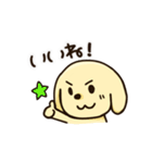 愛犬きんたくんスタンプ（個別スタンプ：11）