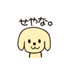 愛犬きんたくんスタンプ（個別スタンプ：12）