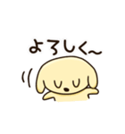 愛犬きんたくんスタンプ（個別スタンプ：13）