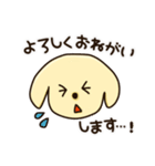 愛犬きんたくんスタンプ（個別スタンプ：14）