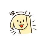 愛犬きんたくんスタンプ（個別スタンプ：16）