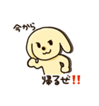 愛犬きんたくんスタンプ（個別スタンプ：17）