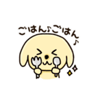 愛犬きんたくんスタンプ（個別スタンプ：19）