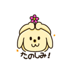 愛犬きんたくんスタンプ（個別スタンプ：21）