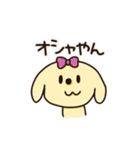 愛犬きんたくんスタンプ（個別スタンプ：24）