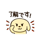 愛犬きんたくんスタンプ（個別スタンプ：25）