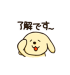 愛犬きんたくんスタンプ（個別スタンプ：26）