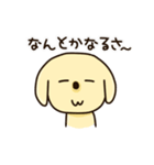 愛犬きんたくんスタンプ（個別スタンプ：36）