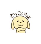 愛犬きんたくんスタンプ（個別スタンプ：37）