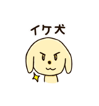 愛犬きんたくんスタンプ（個別スタンプ：38）