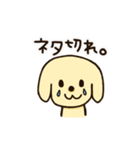 愛犬きんたくんスタンプ（個別スタンプ：40）