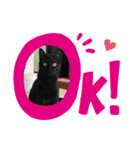 わたしの黒猫スタンプ2（個別スタンプ：1）