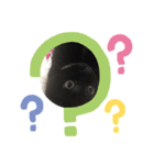 わたしの黒猫スタンプ2（個別スタンプ：5）