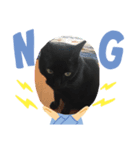 わたしの黒猫スタンプ2（個別スタンプ：6）