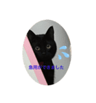 わたしの黒猫友達スタンプ（個別スタンプ：8）