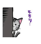コジ相談役（個別スタンプ：6）