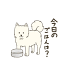 モフモフのもふ（個別スタンプ：17）