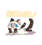 猫のみゅーちゃんスタンプ（個別スタンプ：5）