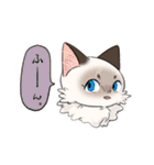 猫のみゅーちゃんスタンプ（個別スタンプ：19）