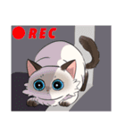 猫のみゅーちゃんスタンプ（個別スタンプ：23）
