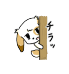 ほのぼのワンワン！日常編（個別スタンプ：3）