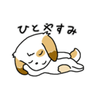 ほのぼのワンワン！日常編（個別スタンプ：8）