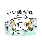 ほのぼのワンワン！日常編（個別スタンプ：15）