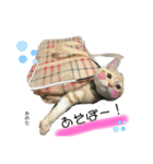 あめ太すたんぷ（個別スタンプ：6）