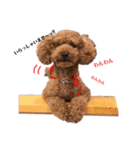 チップ君です（個別スタンプ：2）