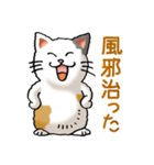 猫大好き！その25三毛猫5（体調不良編）（個別スタンプ：38）