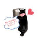 柴犬おとめ（個別スタンプ：5）