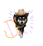 柴犬おとめ（個別スタンプ：6）