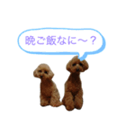 ヴェル・マロと一緒（個別スタンプ：1）