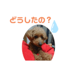 ヴェル・マロと一緒（個別スタンプ：6）