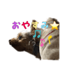 お茶目なマロンちゃん（個別スタンプ：7）