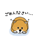 たぬき顔の柴犬（個別スタンプ：2）