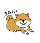 たぬき顔の柴犬（個別スタンプ：5）