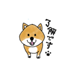 たぬき顔の柴犬（個別スタンプ：6）