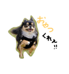 男山(おとこやま)（個別スタンプ：4）