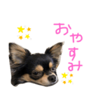 男山(おとこやま)（個別スタンプ：6）
