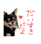 男山(おとこやま)（個別スタンプ：7）