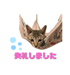 はれもちすたんぷ③〜敬語〜（個別スタンプ：5）