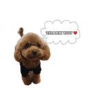 MUKUスタンプ♡（個別スタンプ：4）