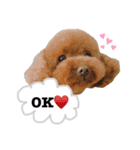 MUKUスタンプ♡（個別スタンプ：5）