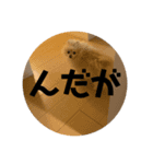 奥山家いぬ（個別スタンプ：5）
