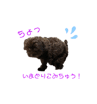 ミルベイビーのスタンプ（個別スタンプ：3）