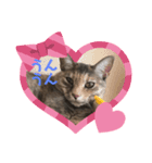 幸の1day（個別スタンプ：1）